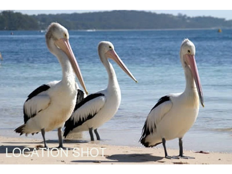 Batemans Bay NSW 2536