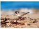Batemans Bay NSW 2536