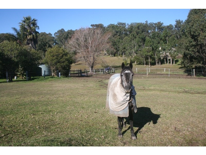 Moruya NSW 2537