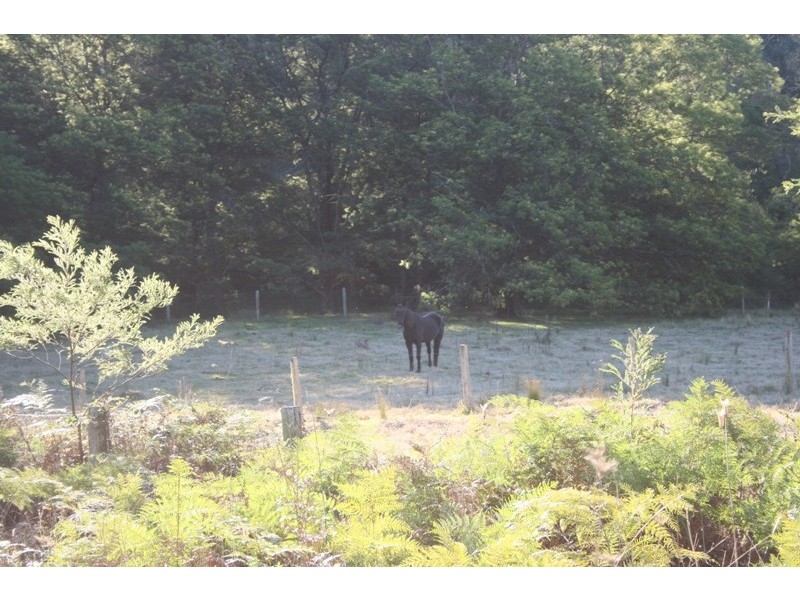 Batemans Bay NSW 2536