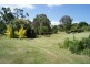 Moruya NSW 2537