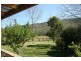 Moruya NSW 2537