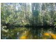 Moruya NSW 2537
