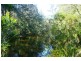 Moruya NSW 2537
