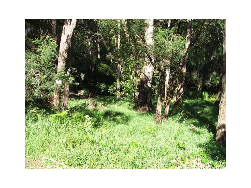 Burrill Lake NSW 2539