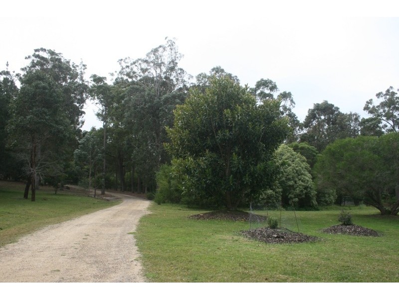Bingie NSW 2537
