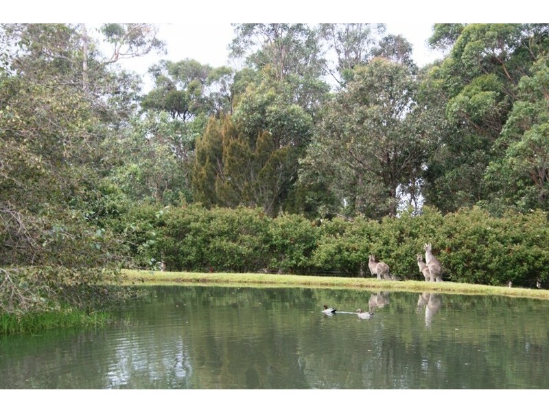 Bingie NSW 2537