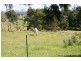 Moruya NSW 2537