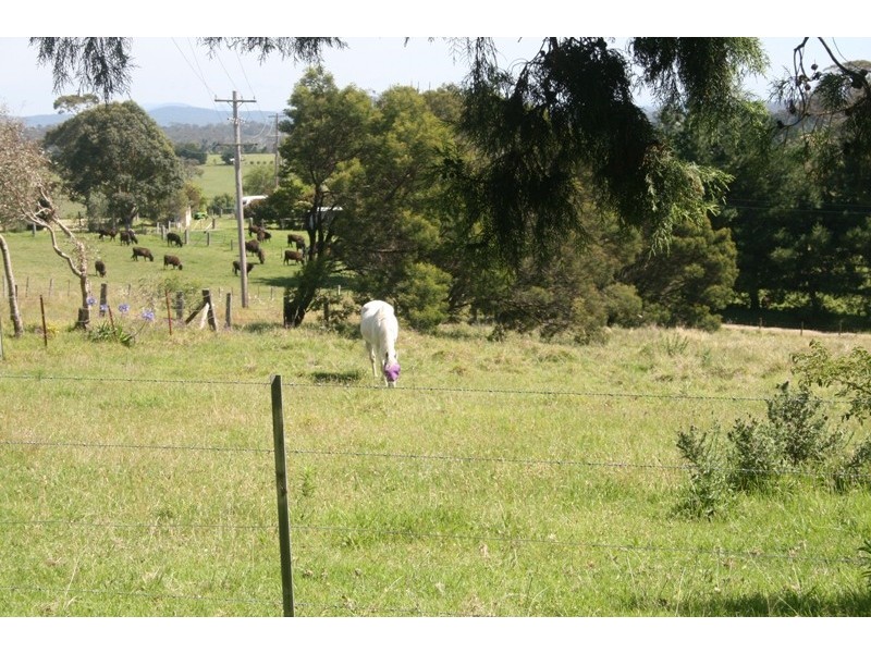 Moruya NSW 2537
