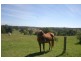 Moruya NSW 2537