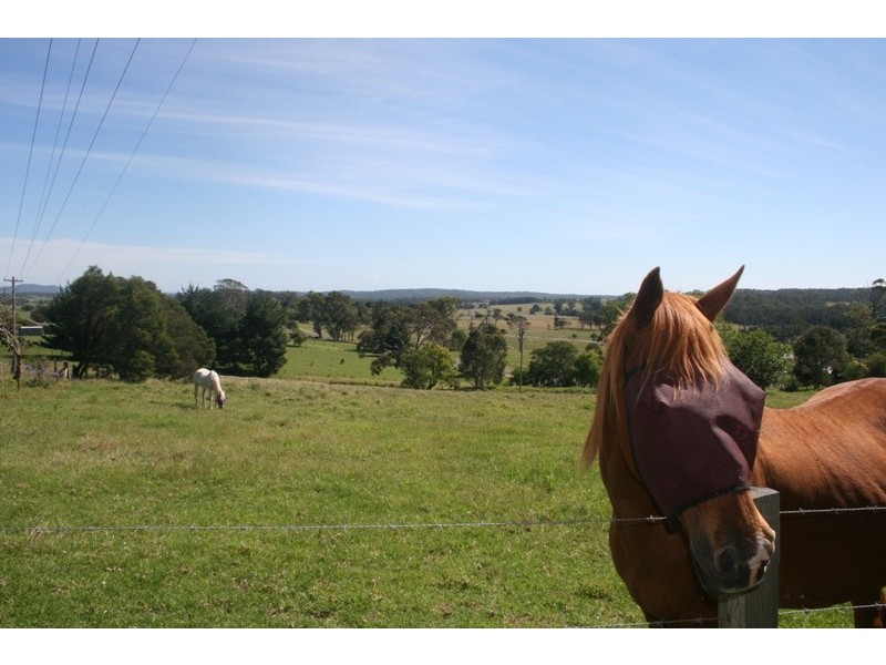 Moruya NSW 2537