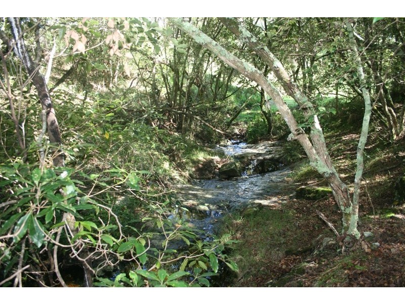 Moruya NSW 2537