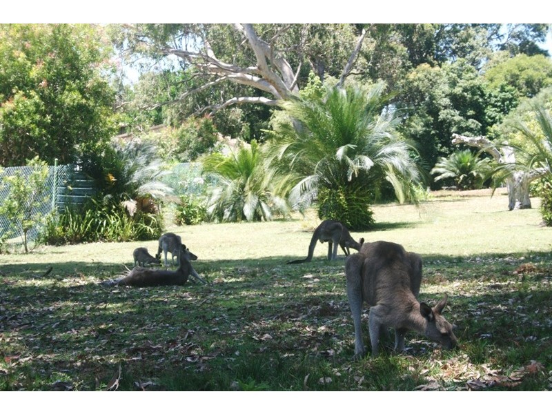 Batemans Bay NSW 2536