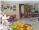 Moruya NSW 2537
