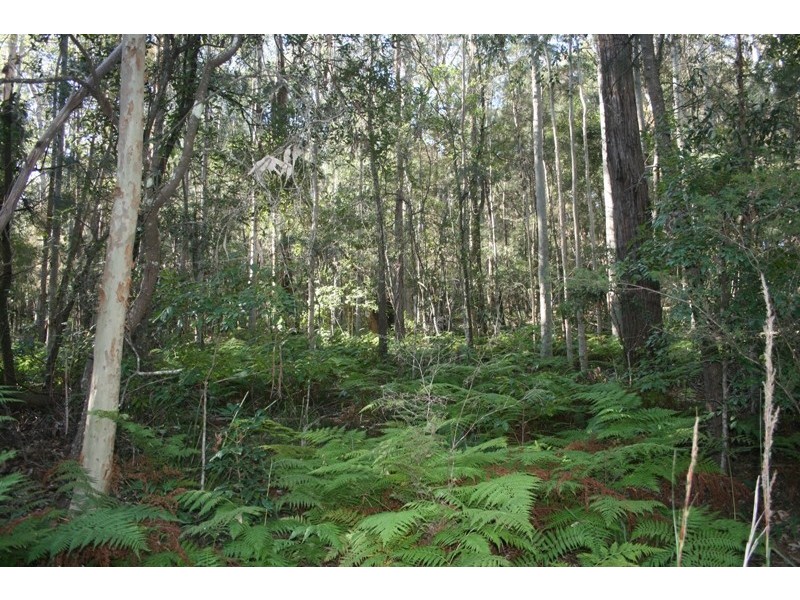 Batemans Bay NSW 2536