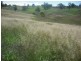 Buckajo NSW 2550