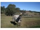 Moruya NSW 2537