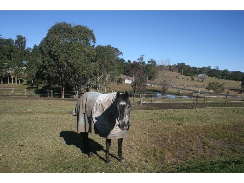 Moruya NSW 2537