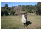 Moruya NSW 2537