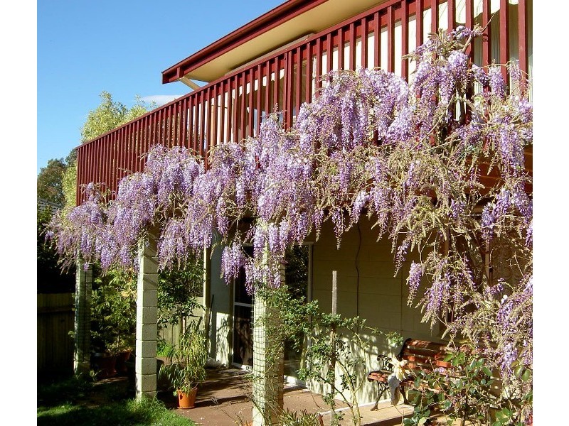 Batemans Bay NSW 2536