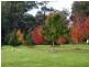 Bodalla NSW 2545