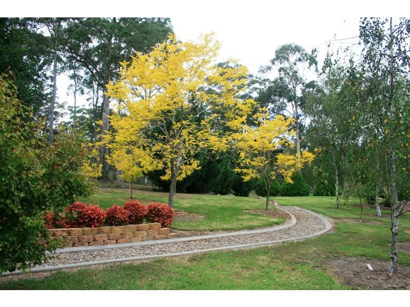 Moruya NSW 2537