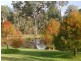 Moruya NSW 2537