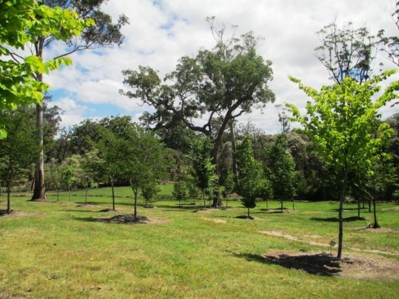 Moruya NSW 2537
