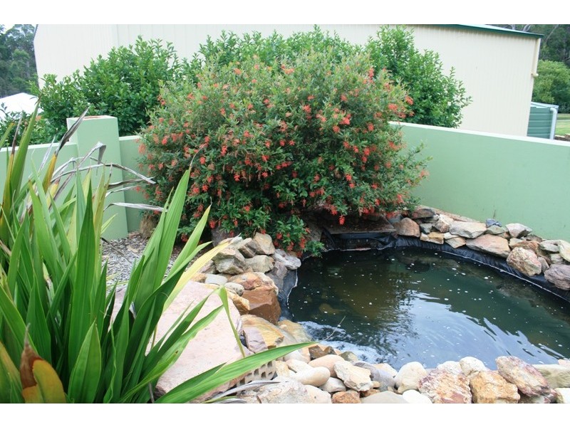 Moruya NSW 2537