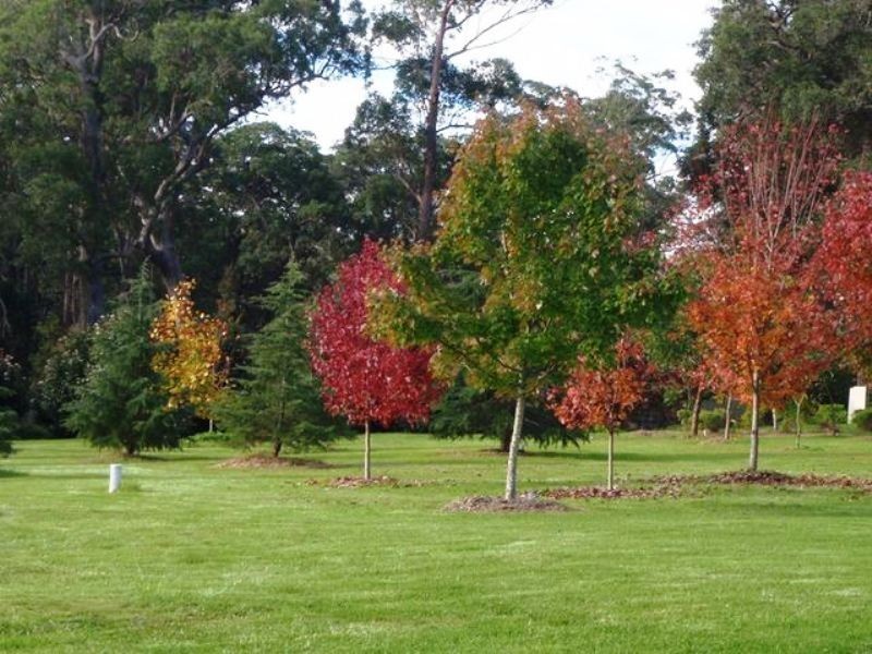 Moruya NSW 2537