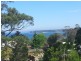 Surfside NSW 2536