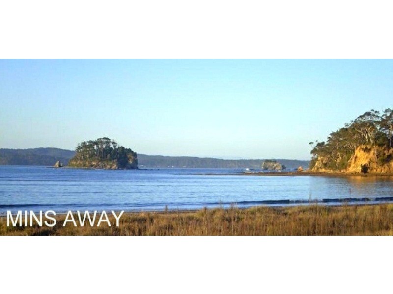 Catalina NSW 2536
