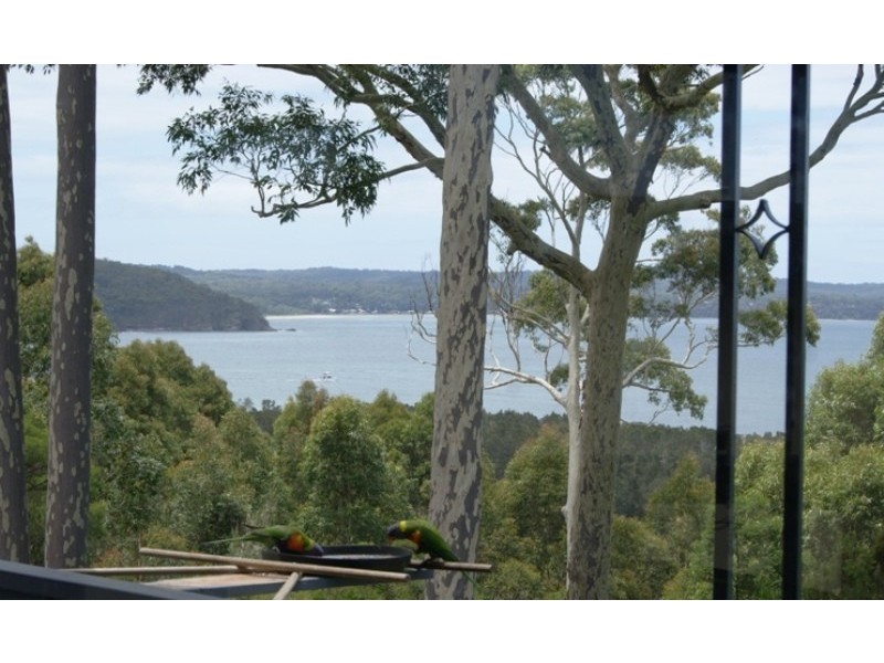Catalina NSW 2536