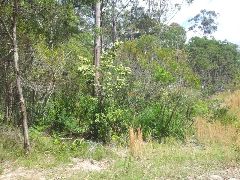 Long Beach NSW 2536
