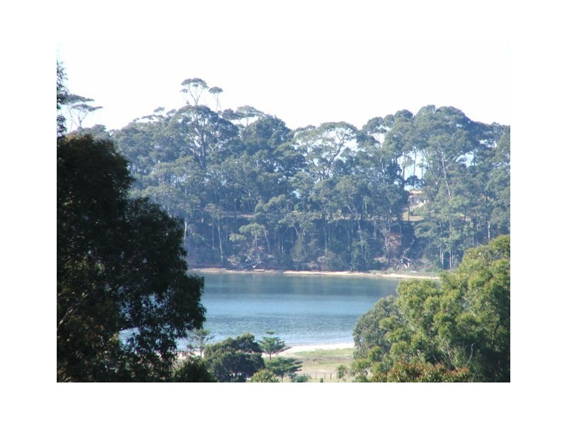 Catalina NSW 2536