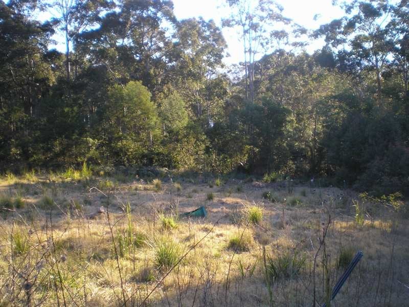 Long Beach NSW 2536