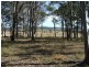 Bergalia NSW 2537