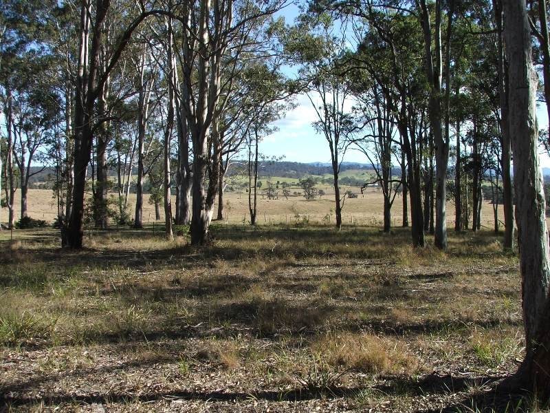 Bergalia NSW 2537