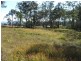 Bergalia NSW 2537