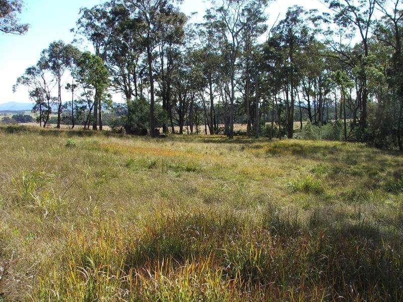 Bergalia NSW 2537