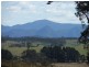 Bergalia NSW 2537