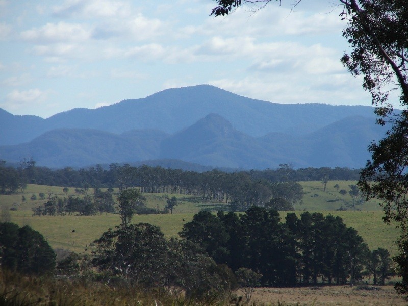 Bergalia NSW 2537