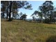 Bergalia NSW 2537