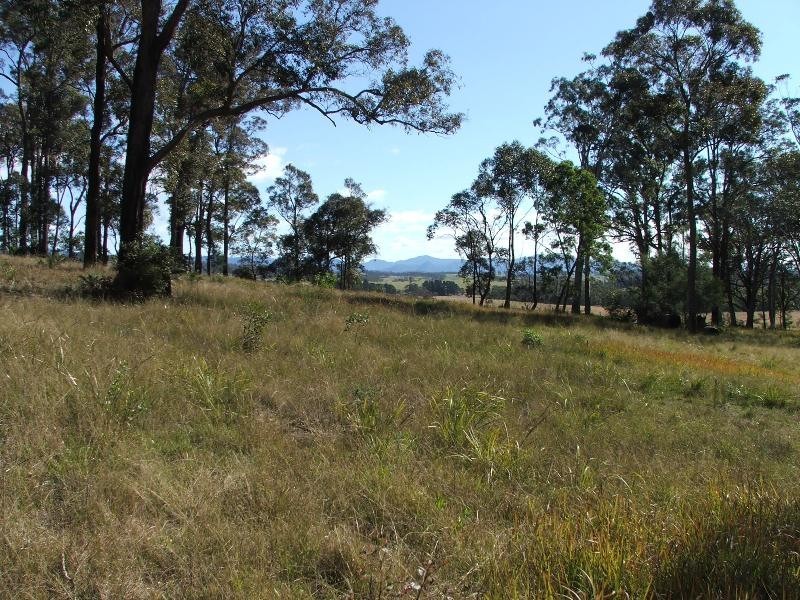 Bergalia NSW 2537