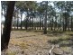 Bergalia NSW 2537