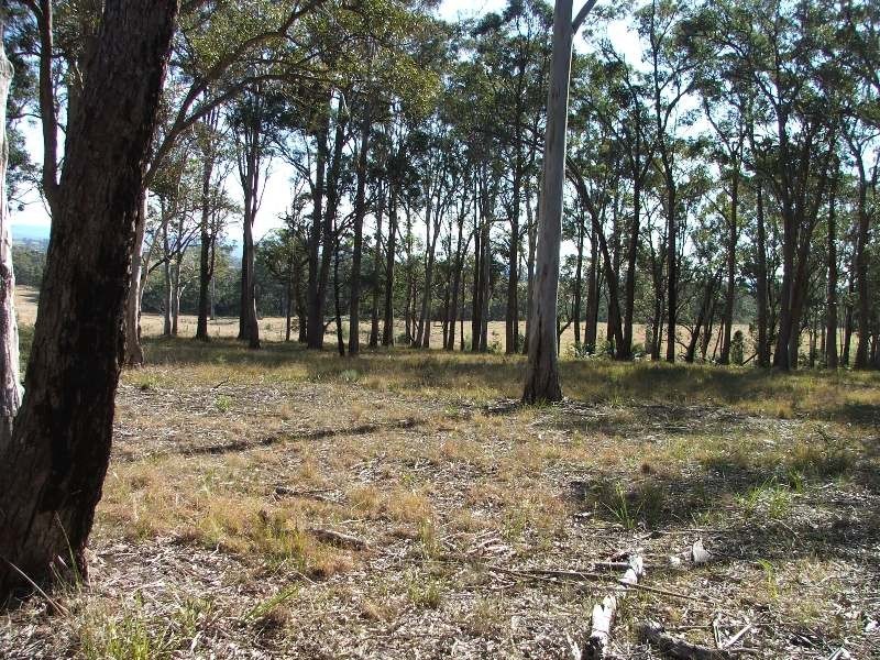 Bergalia NSW 2537