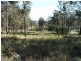Bergalia NSW 2537