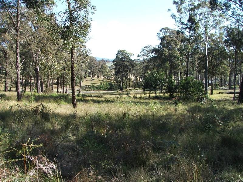 Bergalia NSW 2537