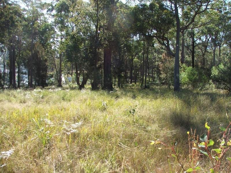 Bergalia NSW 2537