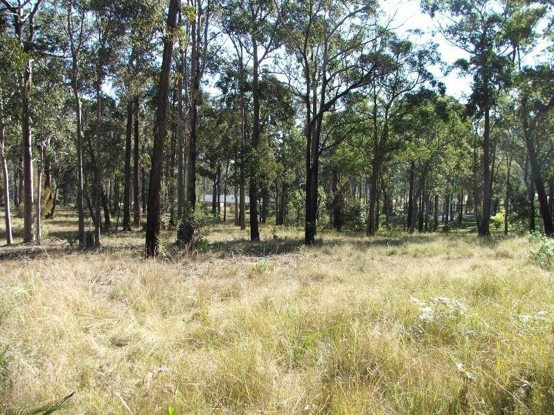 Bergalia NSW 2537